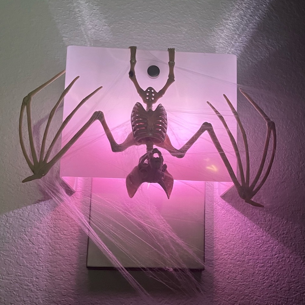 🐜 s o l d